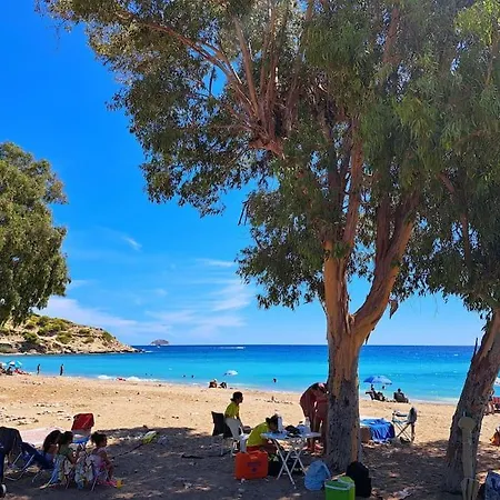 Lovely Oasis Or Ange - Exclusive * Villajoyosa